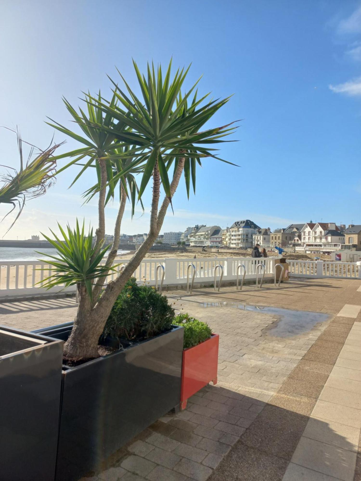 Apartment Du Depart Pour Les Iles