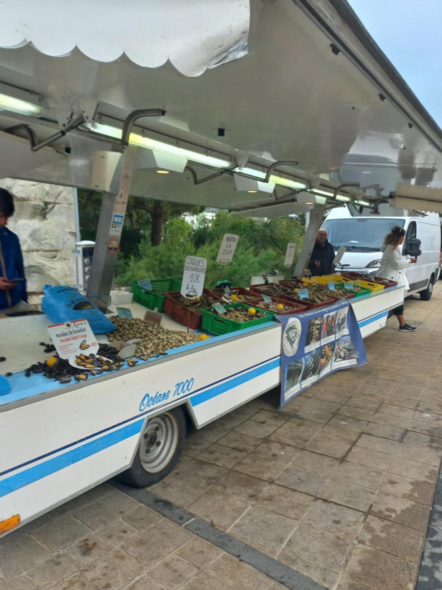 Du Depart Pour Les Iles Appartement Quiberon